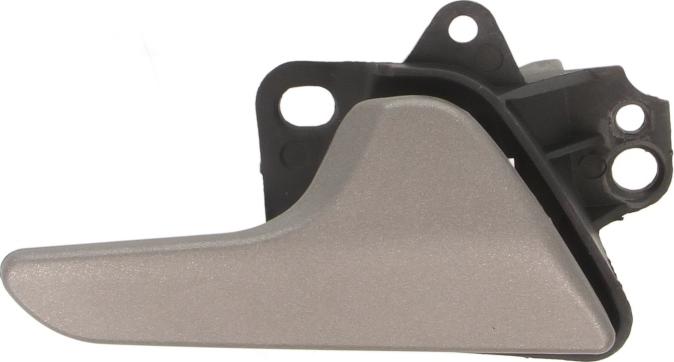 BLIC 6010-02-065408P - Door Handle car-mod.net