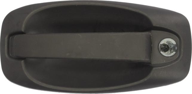 BLIC 6010-07-043401P - Door Handle car-mod.net