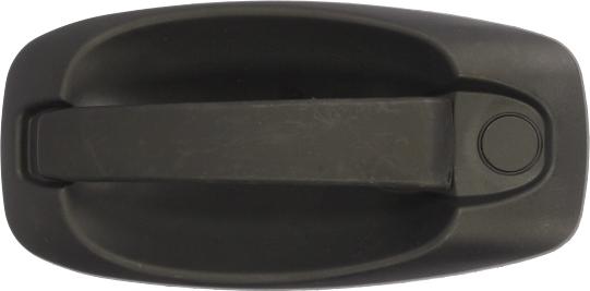 BLIC 6010-07-043402P - Door Handle car-mod.net