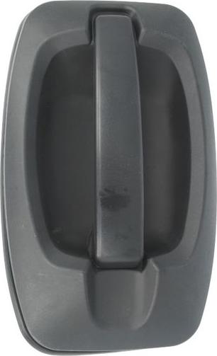 BLIC 6010-07-038410P - Door Handle car-mod.net