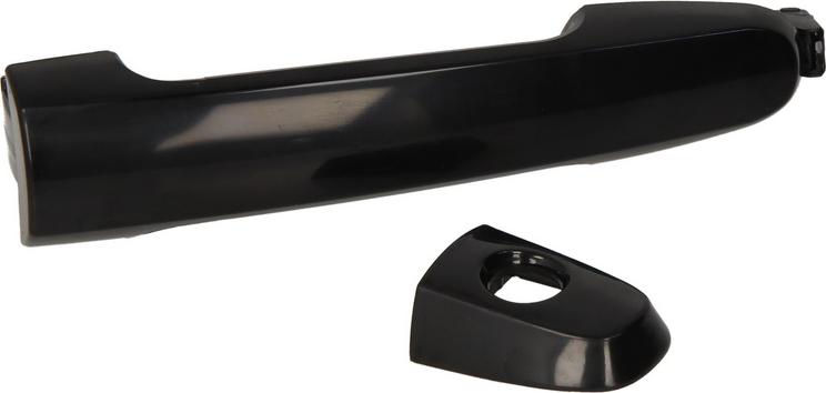 BLIC 6010-19-059401P - Door Handle car-mod.net
