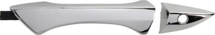 BLIC 6010-12-055401P - Door Handle car-mod.net