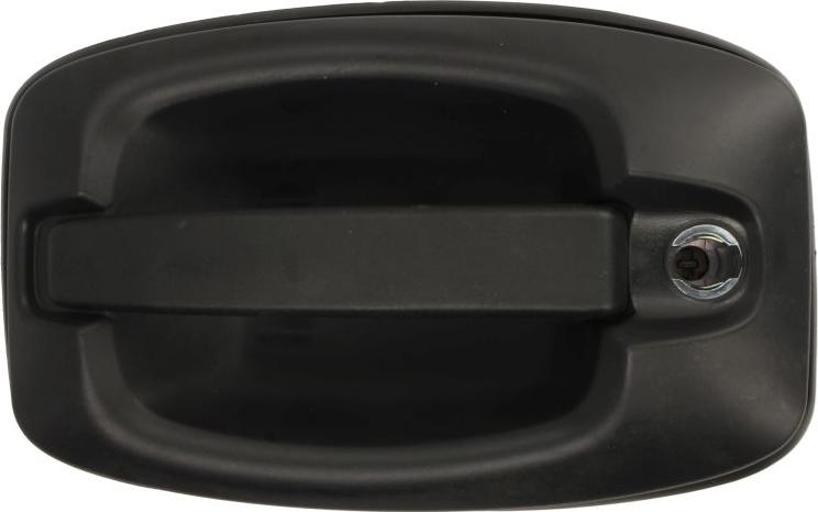 BLIC 6010-30-003401P - Door Handle car-mod.net