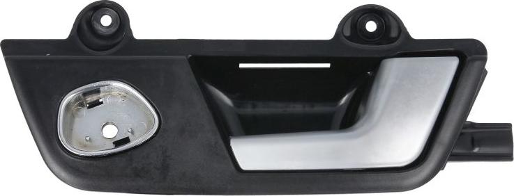 BLIC 6010-25-031408TP - Door Handle car-mod.net
