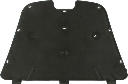 BLIC 6804-00-2556290P - Silencing Material, engine bay car-mod.net