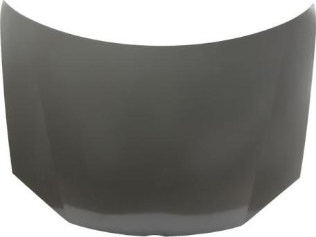 BLIC 6803-00-9544280P - Bonnet, hood car-mod.net