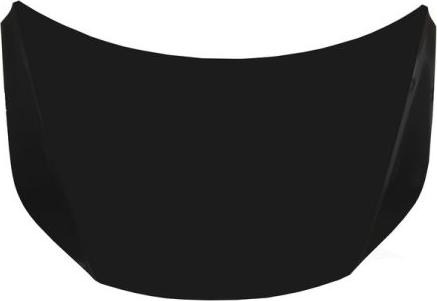 BLIC 6803-00-9548280P - Bonnet, hood car-mod.net