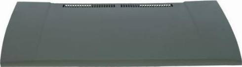 BLIC 6803-00-9521280P - Bonnet, hood car-mod.net
