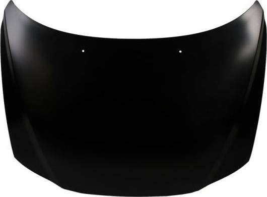BLIC 6803-00-9021280P - Bonnet, hood car-mod.net