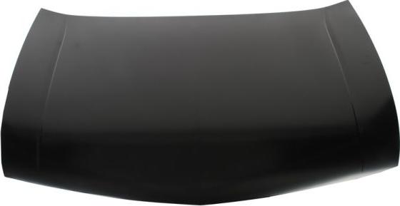 BLIC 6803-00-2927282P - Bonnet, hood car-mod.net