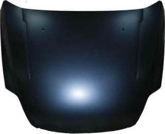 BLIC 6803-00-2556280P - Bonnet, hood car-mod.net