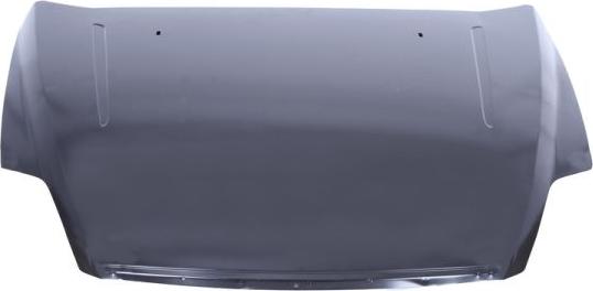 BLIC 6803-00-2556280Q - Bonnet, hood car-mod.net