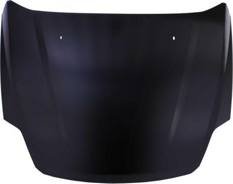 BLIC 6803-00-2556281P - Bonnet, hood car-mod.net