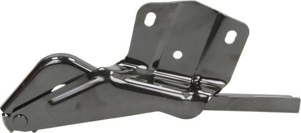 BLIC 6802-00-9535451P - Hinge, bonnet car-mod.net