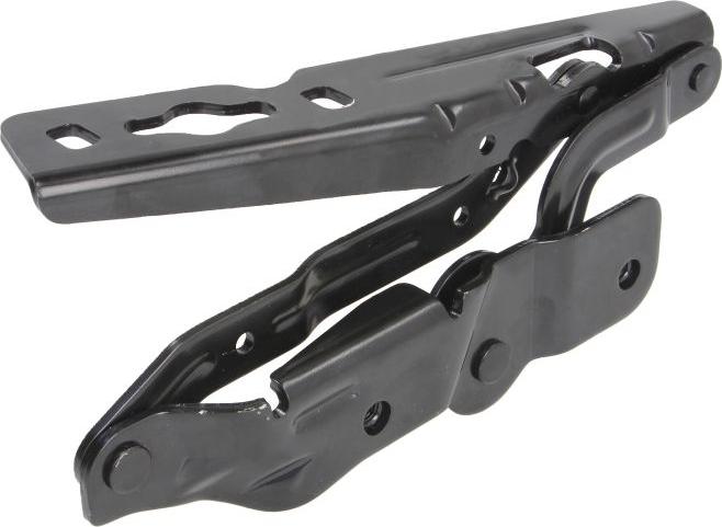 BLIC 6802-00-2508451P - Hinge, bonnet car-mod.net