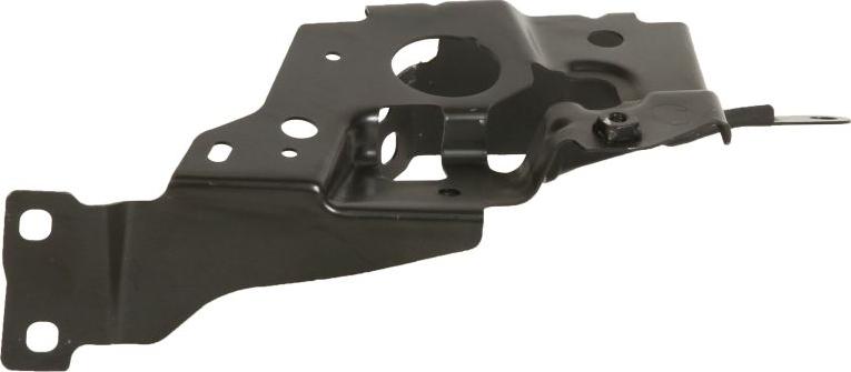 BLIC 7802-03-0064381P - Mounting, mudguard holder car-mod.net
