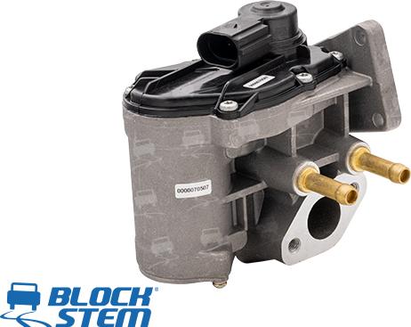 BlockStem EGR0146 - EGR Valve car-mod.net