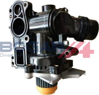 BOGAP A4234187 - Water Pump car-mod.net