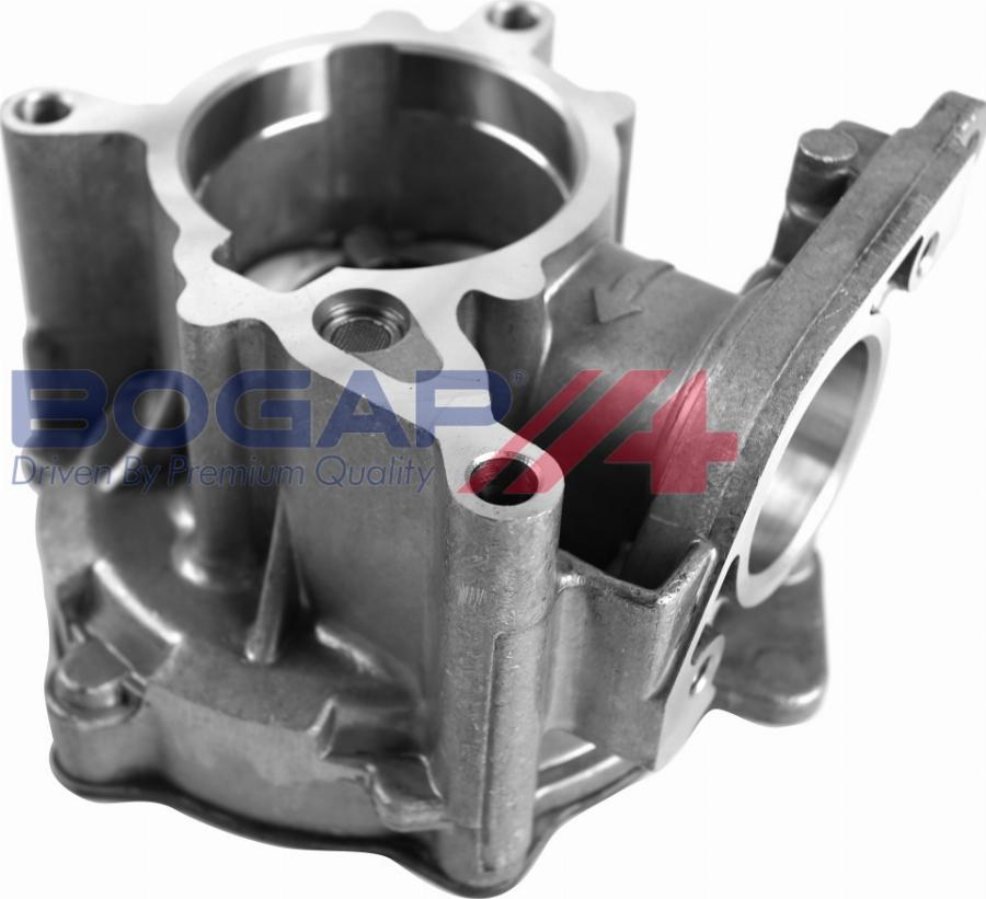 BOGAP A1916115 - Vacuum Pump, braking system car-mod.net