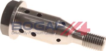 BOGAP L1338103 - Control Valve, camshaft adjustment car-mod.net