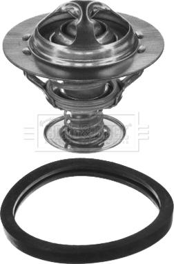 Borg & Beck BBT039 - Coolant thermostat / housing car-mod.net