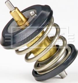 Borg & Beck BBT339 - Coolant thermostat / housing car-mod.net