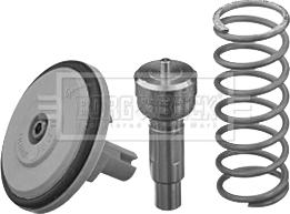 Borg & Beck BBT203 - Coolant thermostat / housing car-mod.net