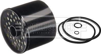 Borg & Beck BFF8020 - Fuel filter car-mod.net