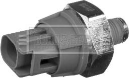 Borg & Beck BOP1002 - Sender Unit, oil pressure car-mod.net