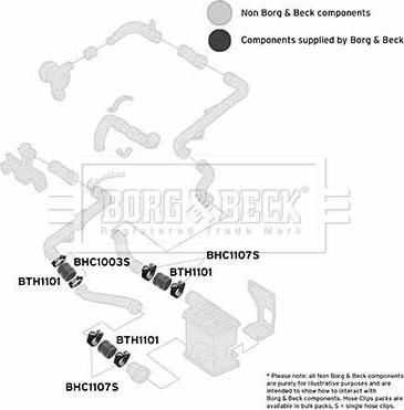 Borg & Beck BTH1101 - Charger Intake Air Hose car-mod.net
