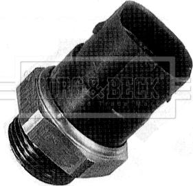 Borg & Beck BTS894.95 - Temperature Switch, radiator / air conditioner fan car-mod.net
