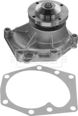 Borg & Beck BWP32695 - Water Pump car-mod.net