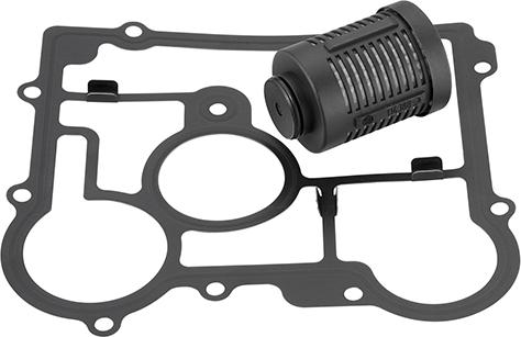 BorgWarner DS2006273 - Hydraulic Filter, all-wheel-drive coupling car-mod.net