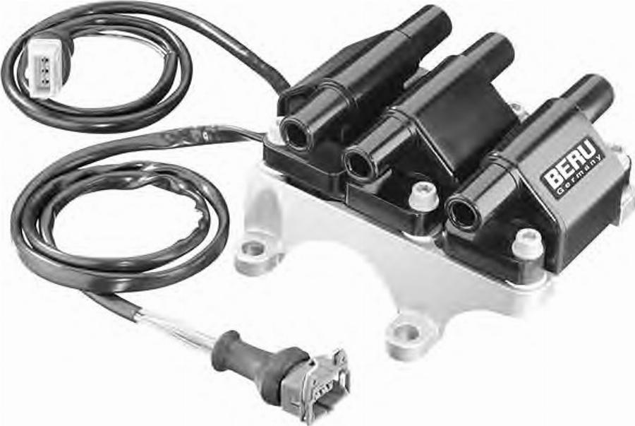 BorgWarner (BERU) 0040402007 - Ignition Coil car-mod.net