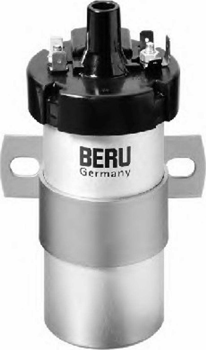 BorgWarner (BERU) 0 040 100 124 - Ignition Coil car-mod.net