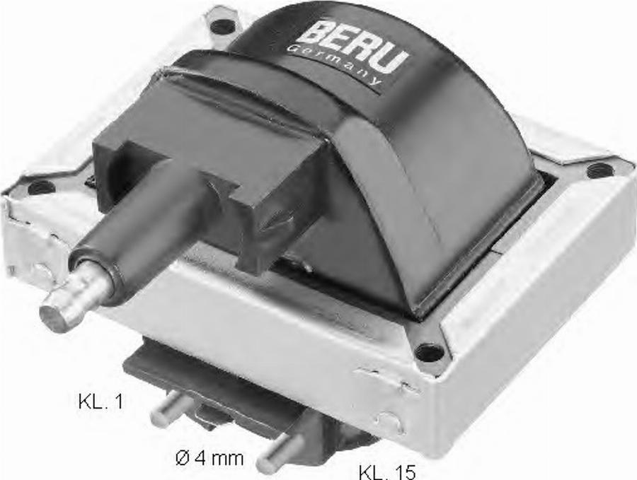 BorgWarner (BERU) 0 040 100 316 - Ignition Coil car-mod.net