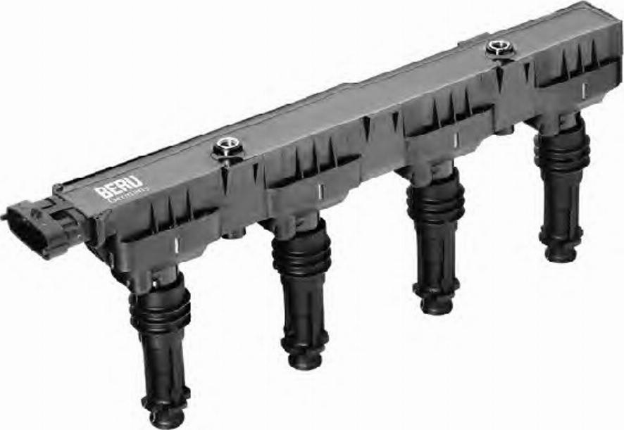 BorgWarner (BERU) 0 040 100 338 - Ignition Coil car-mod.net