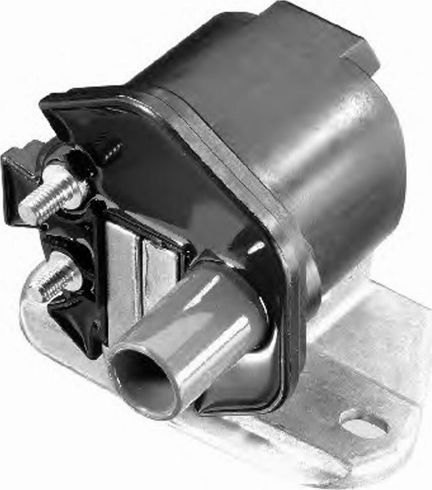 BorgWarner (BERU) 0 040 100 298 - Ignition Coil car-mod.net