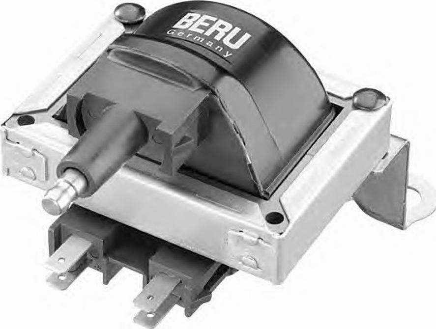 BorgWarner (BERU) 0 040 100 252 - Ignition Coil car-mod.net