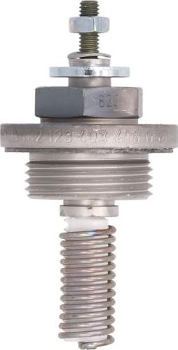 BorgWarner (BERU) GHA408 - Glow Plug, parking heater car-mod.net
