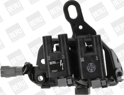 BorgWarner (BERU) ZS541 - Ignition Coil car-mod.net