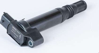 BorgWarner (BERU) ZS574 - Ignition Coil car-mod.net