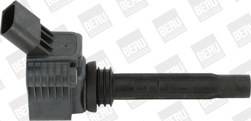 BorgWarner (BERU) ZSE067 - Ignition Coil car-mod.net
