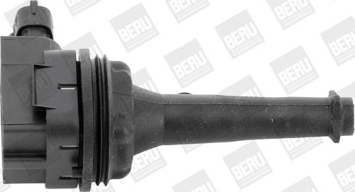 BorgWarner (BERU) ZSE019 - Ignition Coil car-mod.net