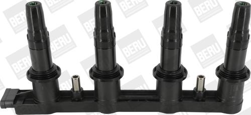 BorgWarner (BERU) ZSE198 - Ignition Coil car-mod.net