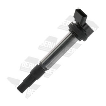 BorgWarner (BERU) ZSE184 - Ignition Coil car-mod.net