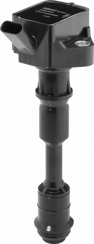 BorgWarner (BERU) ZSE294 - Ignition Coil car-mod.net