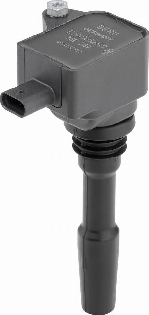 BorgWarner (BERU) ZSE259 - Ignition Coil car-mod.net