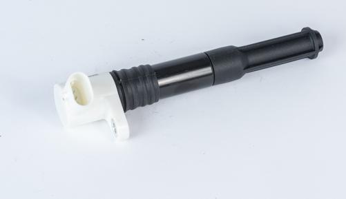 BorgWarner (BERU) ZSE219 - Ignition Coil car-mod.net