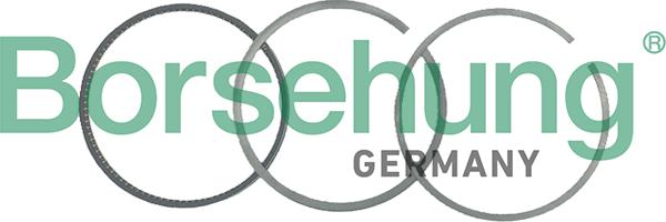 Borsehung B19049 - Piston Ring Kit car-mod.net